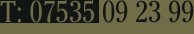 Company name